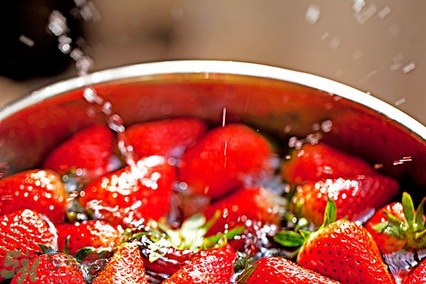 草莓污漬怎么去掉？草莓汁弄到衣服上怎么洗？