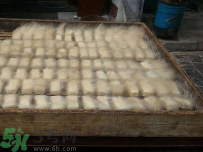 豆腐長毛了還能吃嗎?豆腐長毛了怎么辦 豆腐長毛了還能吃嗎?豆腐長毛了怎么辦