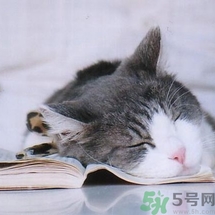 如何控油？如何控油祛痘？