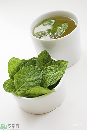 薄荷能美白嗎？薄荷有什么功效和作用？
