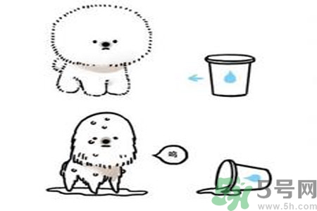 虛胖是什么原因？虛胖怎么辦？