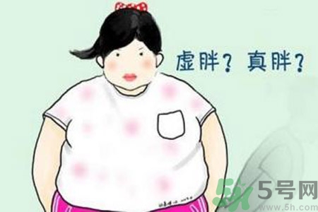 虛胖吃什么中藥？虛胖吃什么中藥有效？