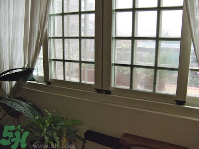 房間潮濕怎么辦？房間潮濕如何解決？