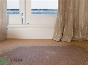 房間潮濕怎么辦？房間潮濕如何解決？