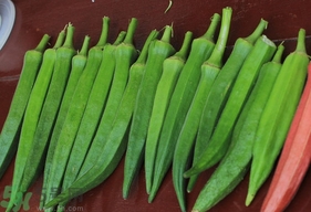 秋葵表面有黑點(diǎn)能吃嗎？秋葵表面有黑點(diǎn)是怎么回事？