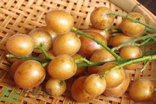 黃皮果是酸性還是堿性？黃皮果是堿性嗎？