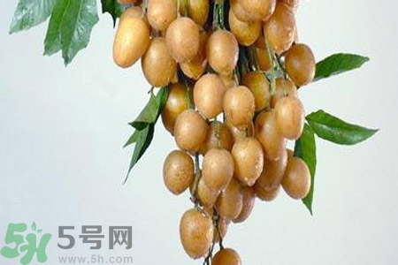 黃皮果是不是發(fā)物？黃皮果是發(fā)物嗎？