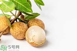 桂圓可以泡酒嗎？桂圓的功效與作用