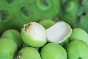 蓮蓬可以多吃嗎？蓮子吃多了會怎樣？