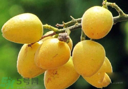 黃皮果的皮可以吃嗎？黃皮果的皮有什么作用