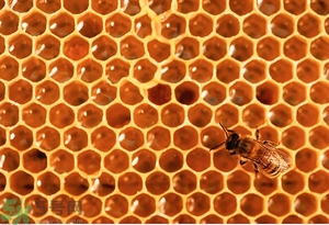 蜂蜜放久了有酒味是怎么回事？蜂蜜有酒味還能喝嗎？