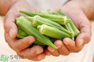 腎病可以吃秋葵嗎？腎病患者能吃秋葵嗎？