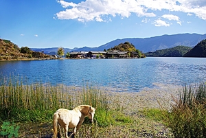 放暑假去哪里玩好？暑假去哪里玩比較涼快？