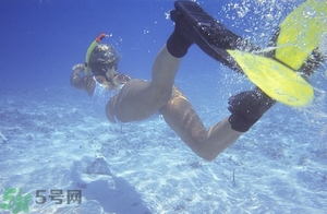 浮潛是什么意思？深潛和浮潛有什么區(qū)別？?