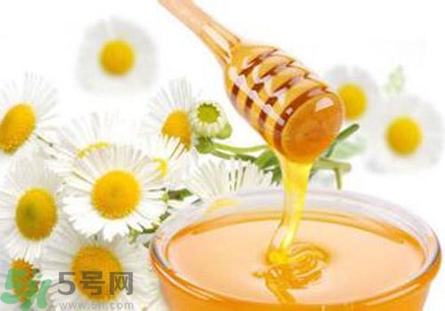 什么蜂蜜才是好蜂蜜？好壞蜂蜜的鑒別