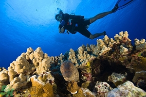 深潛危險(xiǎn)么？深潛注意事項(xiàng)有哪些？