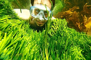 深潛危險(xiǎn)么？深潛注意事項(xiàng)有哪些？