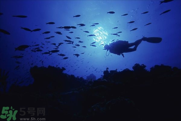 深潛危險(xiǎn)么？深潛注意事項(xiàng)有哪些？