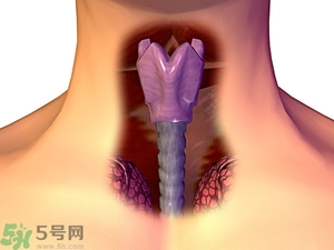 ?皰疹性咽峽炎有什么癥狀？寶寶?皰疹性咽峽炎癥狀