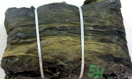 新鮮海帶是什么顏色?正常海帶是什么顏色? 新鮮海帶是什么顏色?正常海帶是什么顏色?