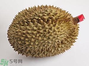 榴蓮沒開口可以吃嗎？榴蓮沒裂開能吃嗎？