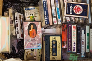 家里有跳蚤怎么快速去除？屋里有跳蚤怎么消滅掉？