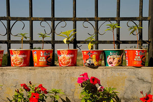 吃方便面會(huì)發(fā)胖嗎？吃方便面有什么壞處？