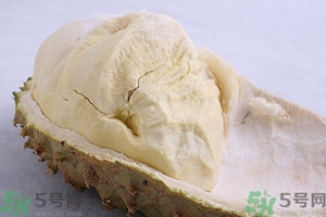 榴蓮能放冰箱嗎？榴蓮放在冰箱能保存幾天？