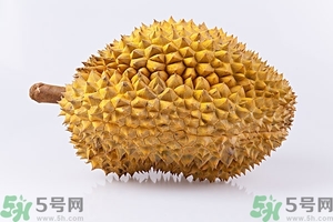 榴蓮能放冰箱嗎？榴蓮放在冰箱能保存幾天？