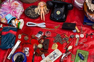 家里有跳蚤怎么快速去除？屋里有跳蚤怎么消滅掉？