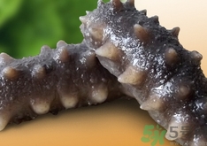 現(xiàn)殺海參怎么保存?活海參怎么保存? 現(xiàn)殺海參怎么保存?活海參怎么保存?