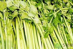 貧血能吃芹菜嗎？貧血吃芹菜好不好？