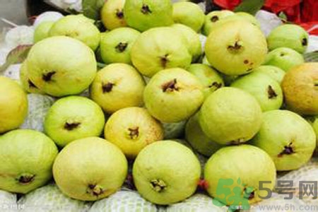 番石榴是熱性還是涼性？番石榴是涼性的嗎？