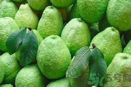 寶寶可以吃番石榴嗎？寶寶多大可以吃番石榴？