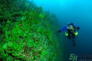 經(jīng)期可以潛水嗎？來例假可以潛水嗎？