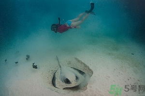 懷孕能浮潛嗎？什么人不適合潛水？