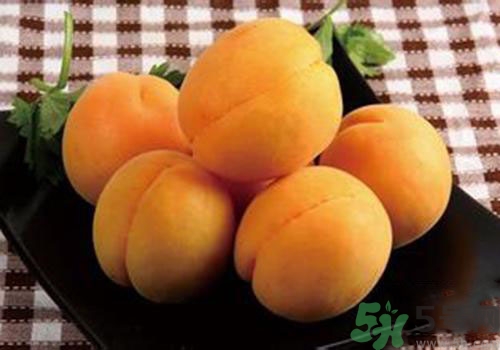 杏子是熱性還是涼性？杏子是涼性的嗎？