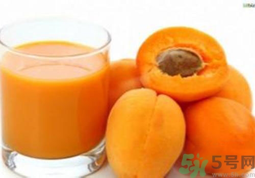 杏子是熱性還是涼性？杏子是涼性的嗎？