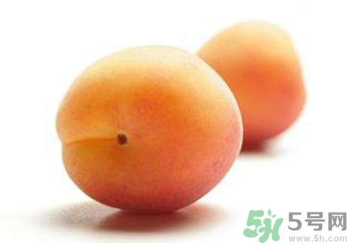 杏子是酸性還是堿性？杏子是酸性的嗎？