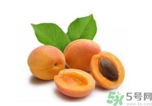 杏子上有黑點是怎么回事？杏子上有斑點可以吃嗎？