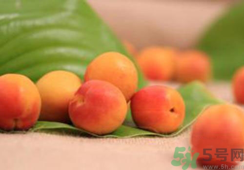 杏子有毒嗎？杏子吃了會中毒嗎？