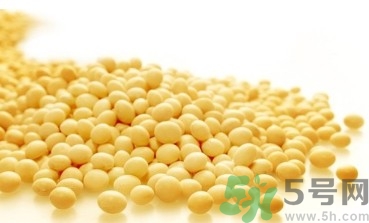 黃豆煮湯怎么做好吃?黃豆煮湯的營養(yǎng)價值 黃豆煮湯怎么做好吃?黃豆煮湯的營養(yǎng)價值