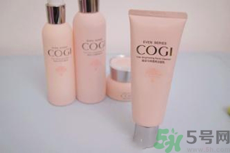 高姿大白水多少錢(qián)？高姿大白水適合什么年齡？