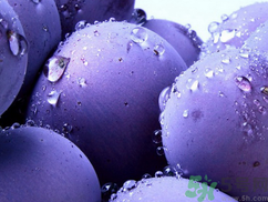 葡萄上有黑點能吃嗎?葡萄上有黑點可以吃嗎? 葡萄上有黑點能吃嗎?葡萄上有黑點可以吃嗎?