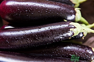 吃茄子有什么壞處？吃茄子的禁忌有哪些？