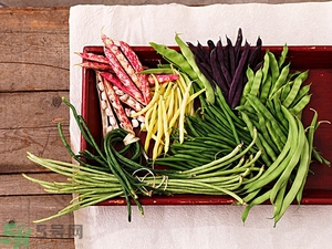 痛風(fēng)能吃豆角嗎？痛風(fēng)吃豆角行嗎？