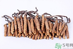冬蟲夏草真假怎么鑒別？冬蟲夏草怎么吃效果最好？