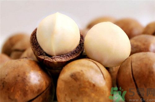 夏威夷果補腎嗎?夏威夷果補腎壯陽嗎 夏威夷果補腎嗎?夏威夷果補腎壯陽嗎