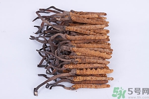 冬蟲夏草真假怎么鑒別？冬蟲夏草怎么吃效果最好？