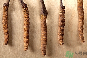 冬蟲(chóng)夏草真假怎么鑒別？冬蟲(chóng)夏草怎么吃效果最好？